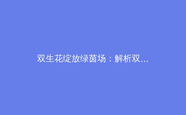 双生花绽放绿茵场：解析双胞胎运动员的协同优势与科学训练 - 4